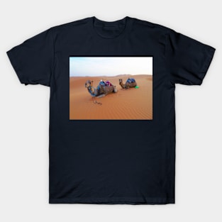 Saharan camels, nature travel photography T-Shirt